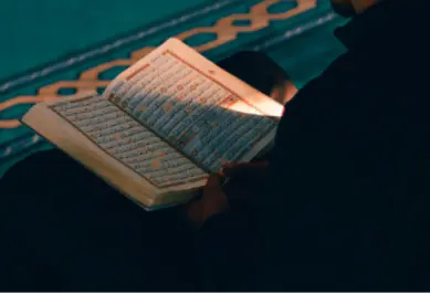 Hero Video 16_9 (1)