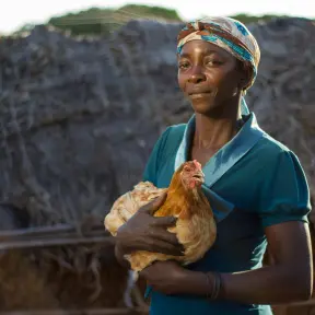 Poultry farm