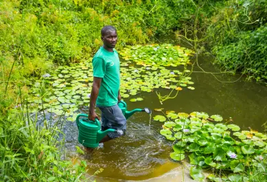 environmental_work